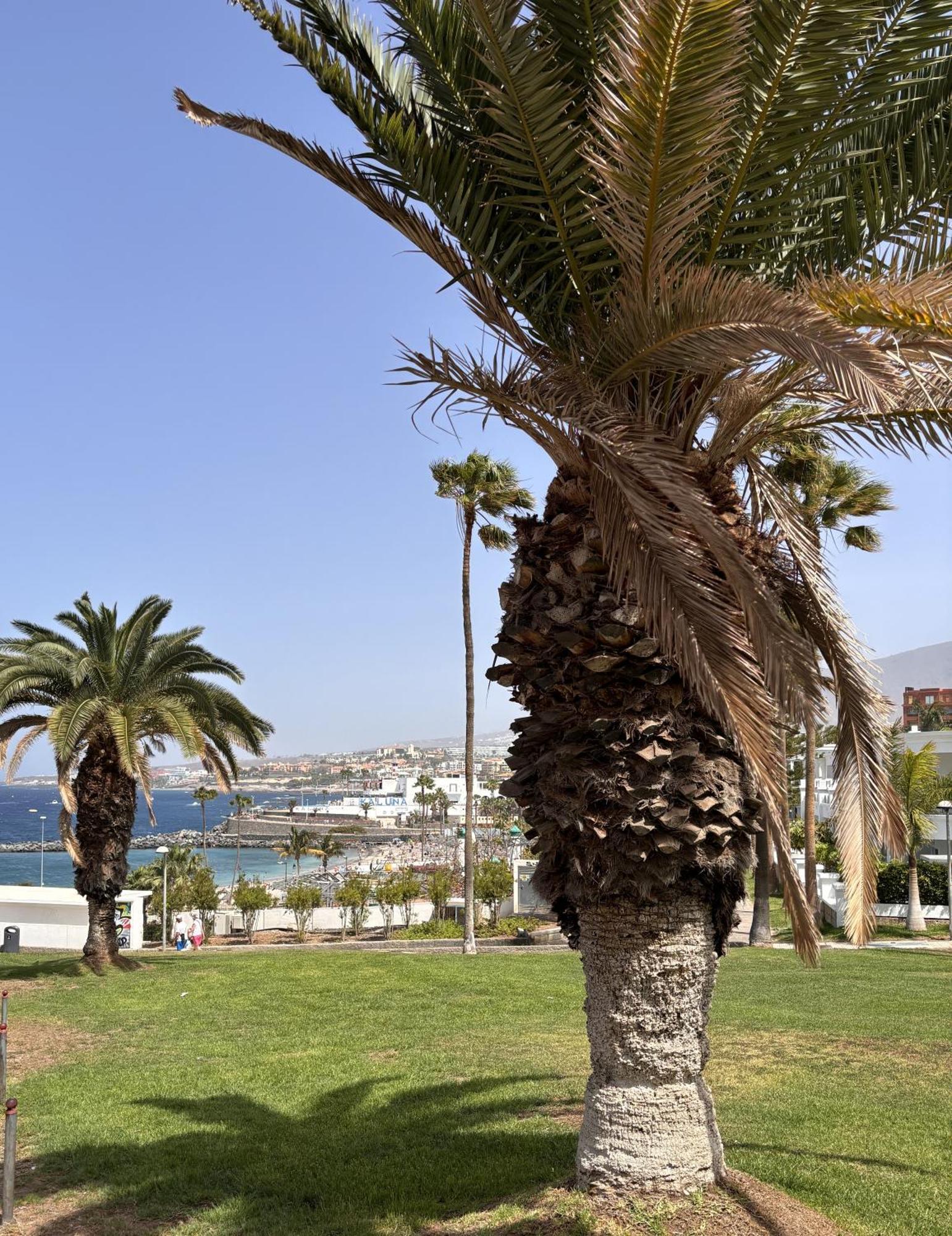Ocean View Near The Beach Costa Adeje Екстер'єр фото